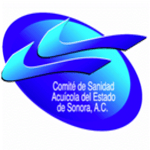 Imagen 15