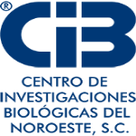 cibnor